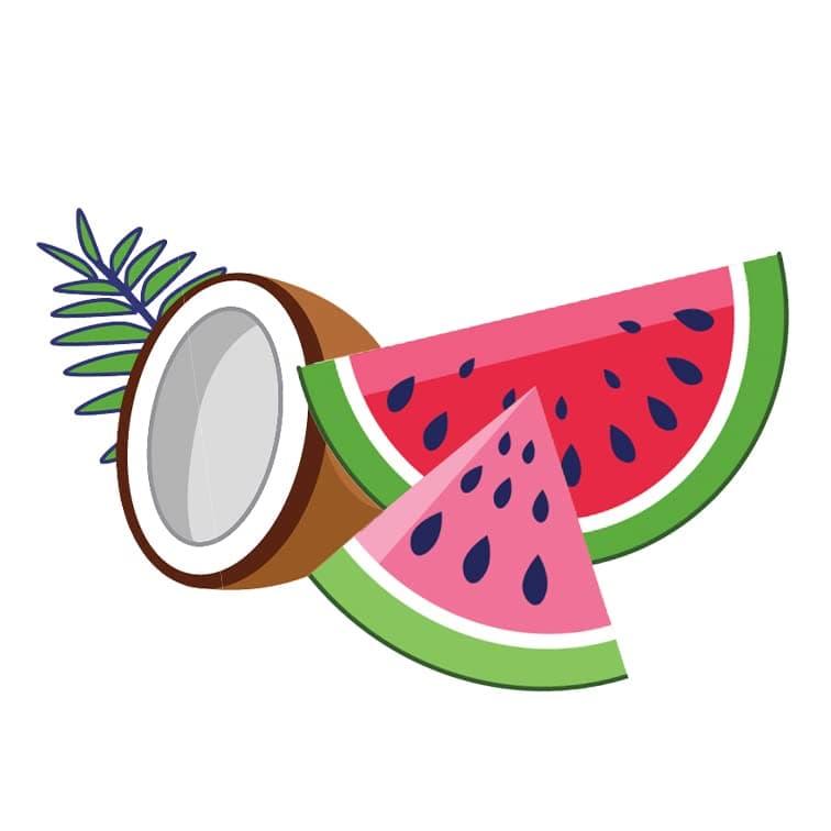 Blossom Moisturizing and Hydrating Shimmer Lip Oil with Real Flowers, Watermelon — Coconut/Watermelon